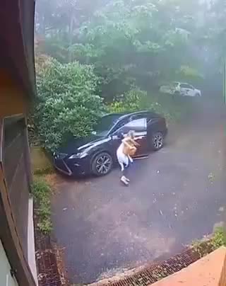 Unexpected guest that shocked her