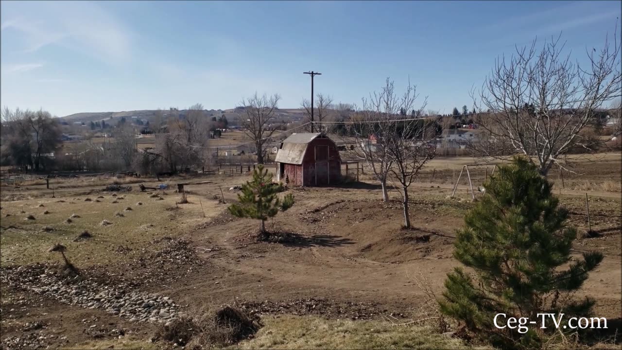 Graham Family Farm: Pretty Cold Day