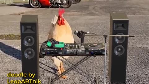 Chicken Dj