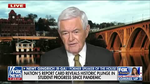 Newt Gingrich: This may be biggest Republican win since 1920