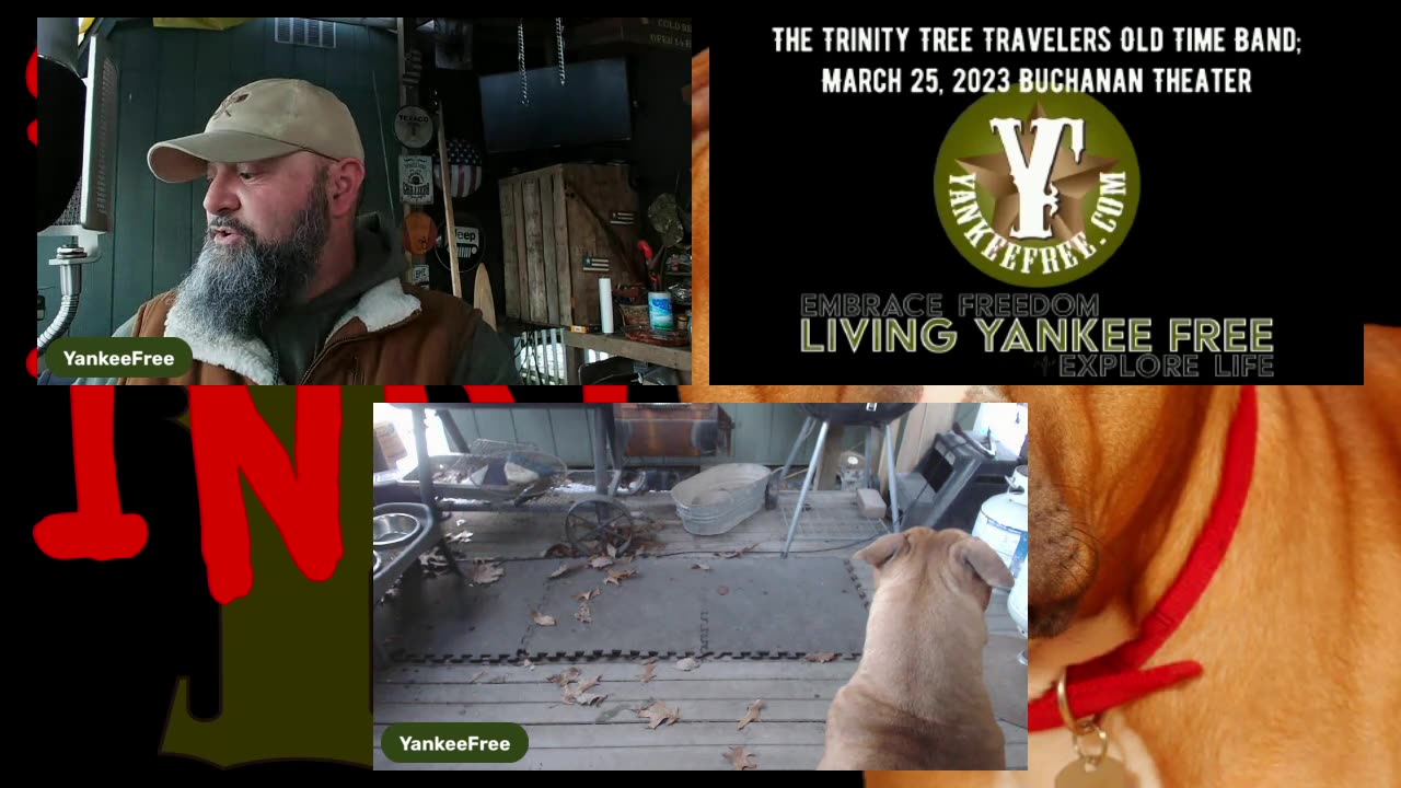 Living Yankee Free is LIVE