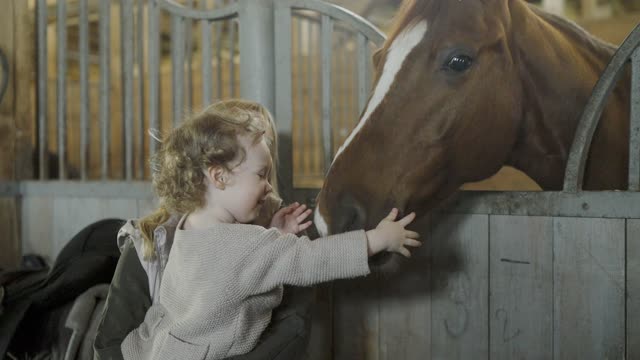 cute child caressing the horse