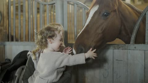 cute child caressing the horse