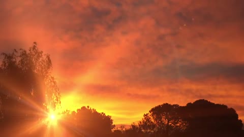 Beautiful sunset
