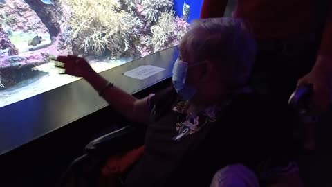 Aquarium Tour 22 Feb 2022 VID 20220222 172032