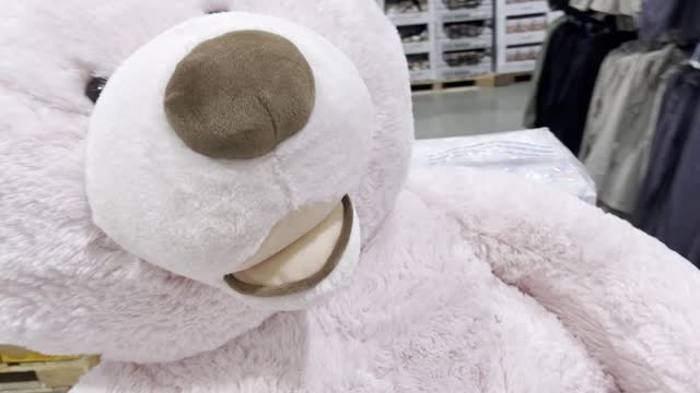 Teddy bear in cart