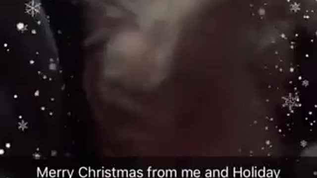 Merry christmas from me and holiday