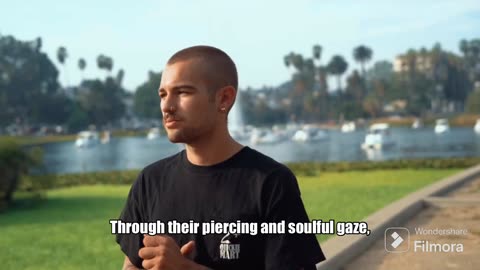 A Spiritual Video About Cats ☯️