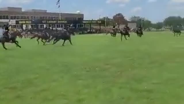 Horse cavalry