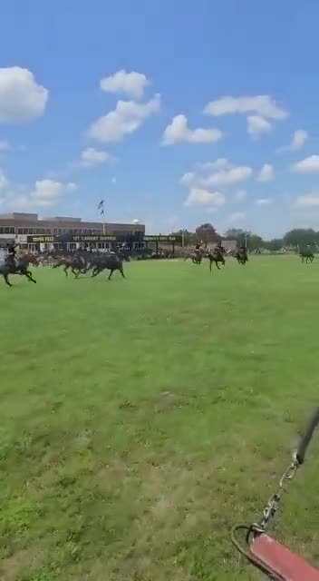 Horse cavalry