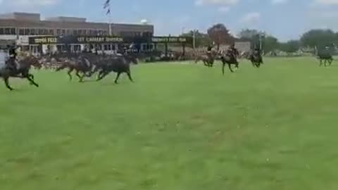 Horse cavalry