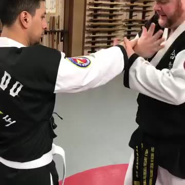 Hapkido