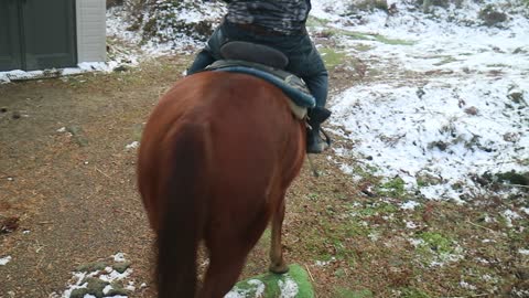 20210101 chủ trại ngựa hướng dẫn kỹ thuật cưỡi ngựa