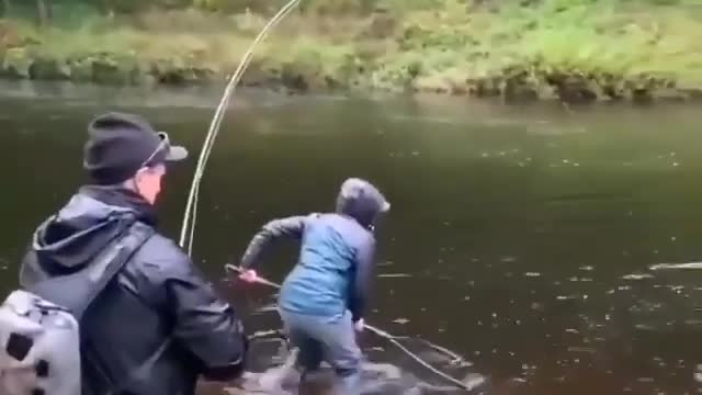 This is a beautiful and charming water-dwelling species