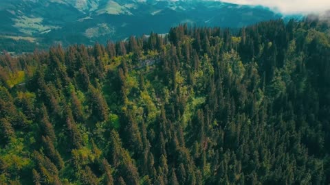 Amazing!! Nature / green mountain / waterfall