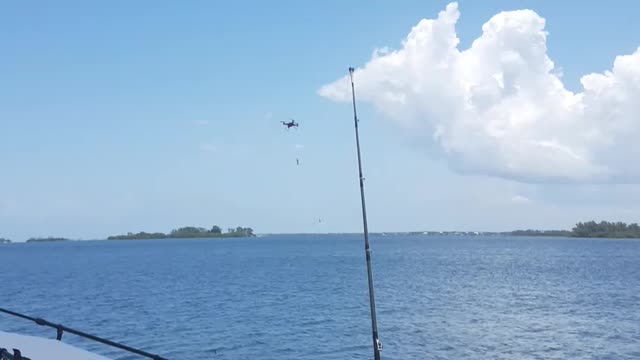 setting shark baits with a drone