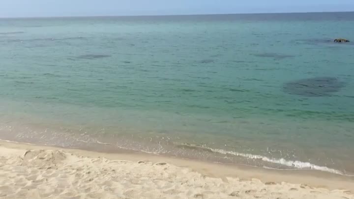 The relaxing sea view of Korea