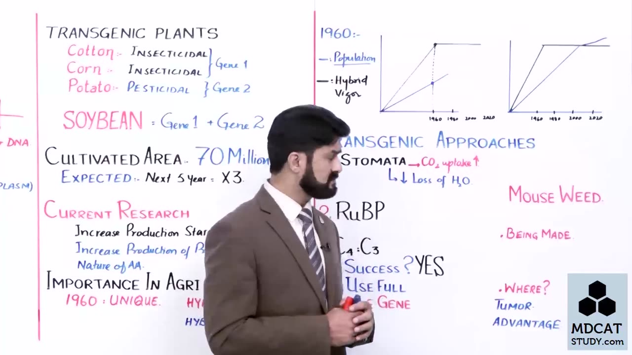 LEC#11 TRANSGENIC PLANTS