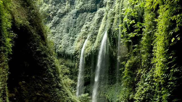 A beautiful nature and shower