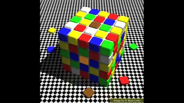 Beau Lotto: Rubik cube visual perception illusion