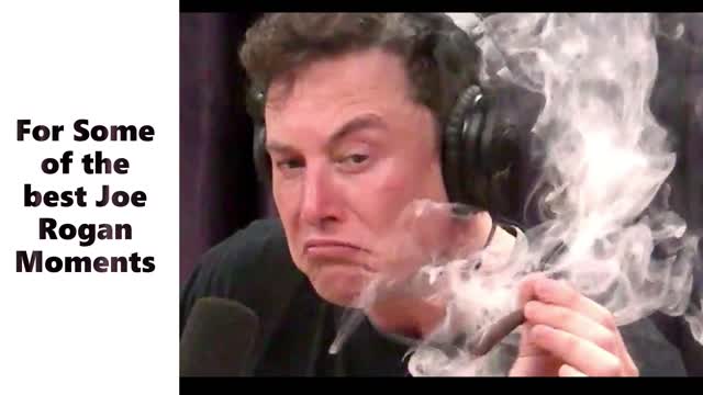 Live Recording. Joe Rogan Experience #1276 - Ben Shapiro JRMemories Like share comment