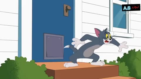 Tom and Jerry new episode