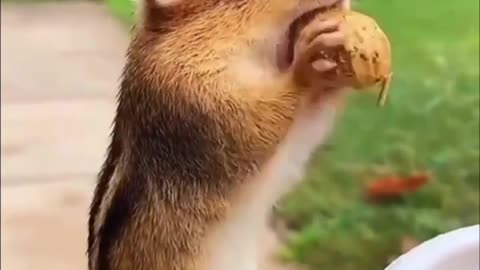 Hungry?