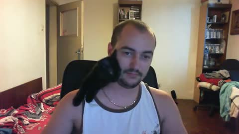 Cat pretending to be a parrot.