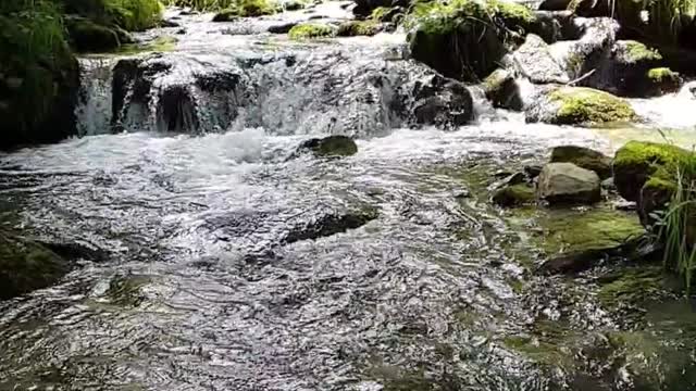 Waterfall Slow Motion Slowpro