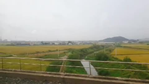 Outside view from the train