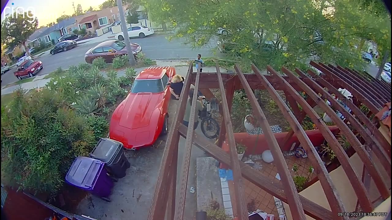 Neighborhood Kid Tips Motorcycle Into Classic Corvette