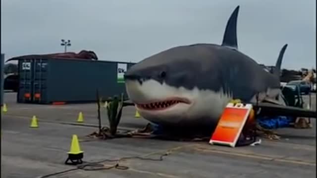 Megalodon robot