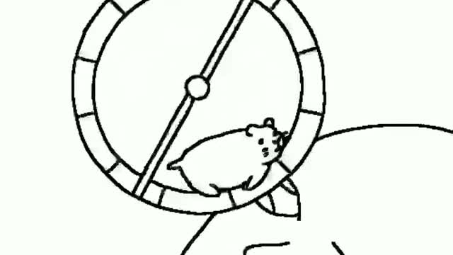 Miracle hamster