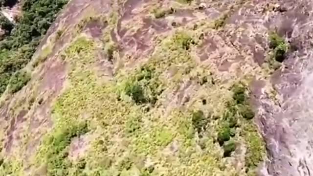 Wingsuit flying to the sea