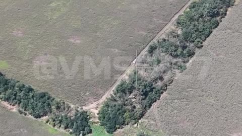 hulyaj_pole_17.08.2023