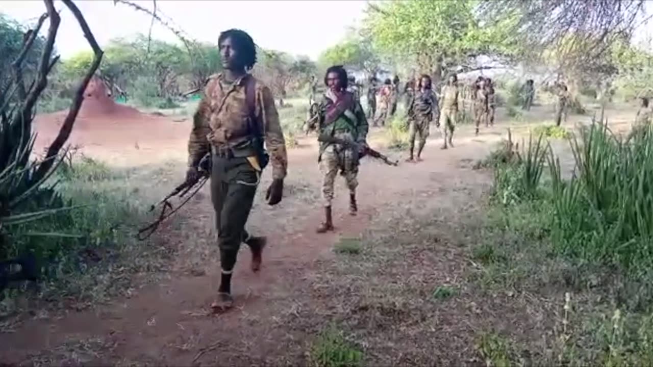 Wallee Jaal Cichaa Kaayyoo - Joortuu Faana Awwaara