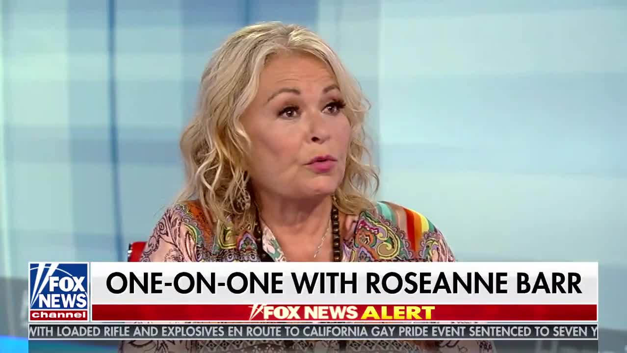 Roseanne Barr tells Sean Hannity she didn't know Valerie Jarrett was African American