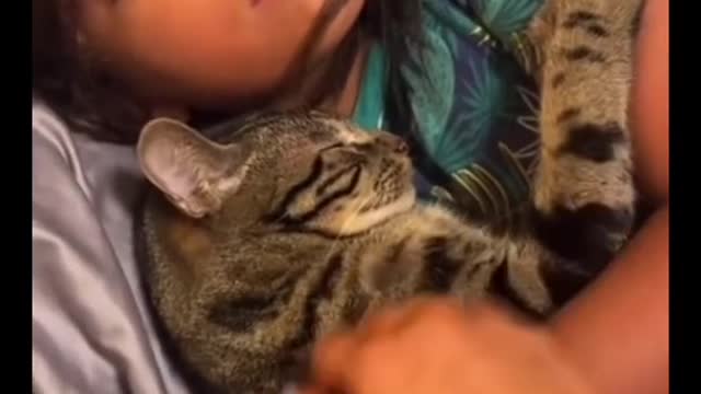 The most precious video on the internet,,short video