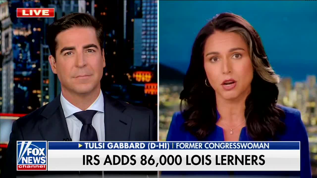 'Hard To Imagine': Former Dem Presidential Candidate Claims Biden Used DOJ As 'Personal Good Squad'