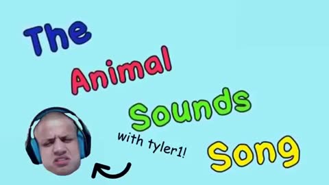 Stupid Animal Sounds Song