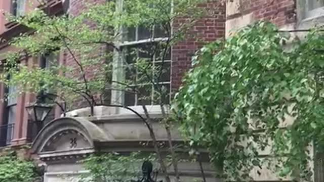 Ron Perelman Lenox Hill Townhouse