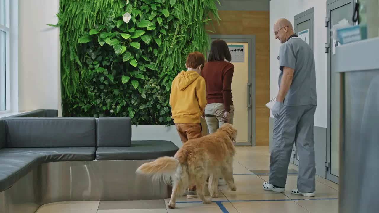 Full shot of professional male veterinarian inviting cute golden retriever dog