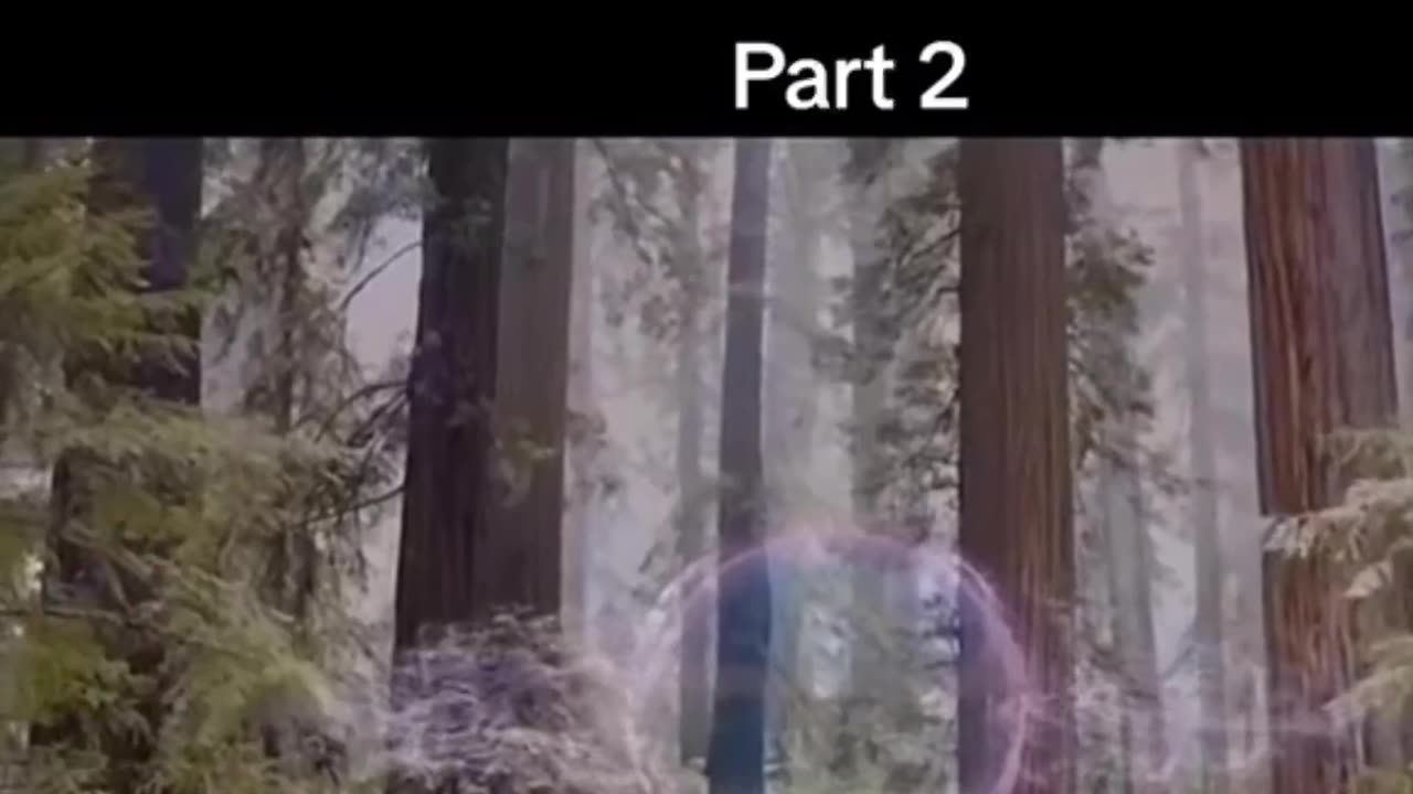 Portal Part 2