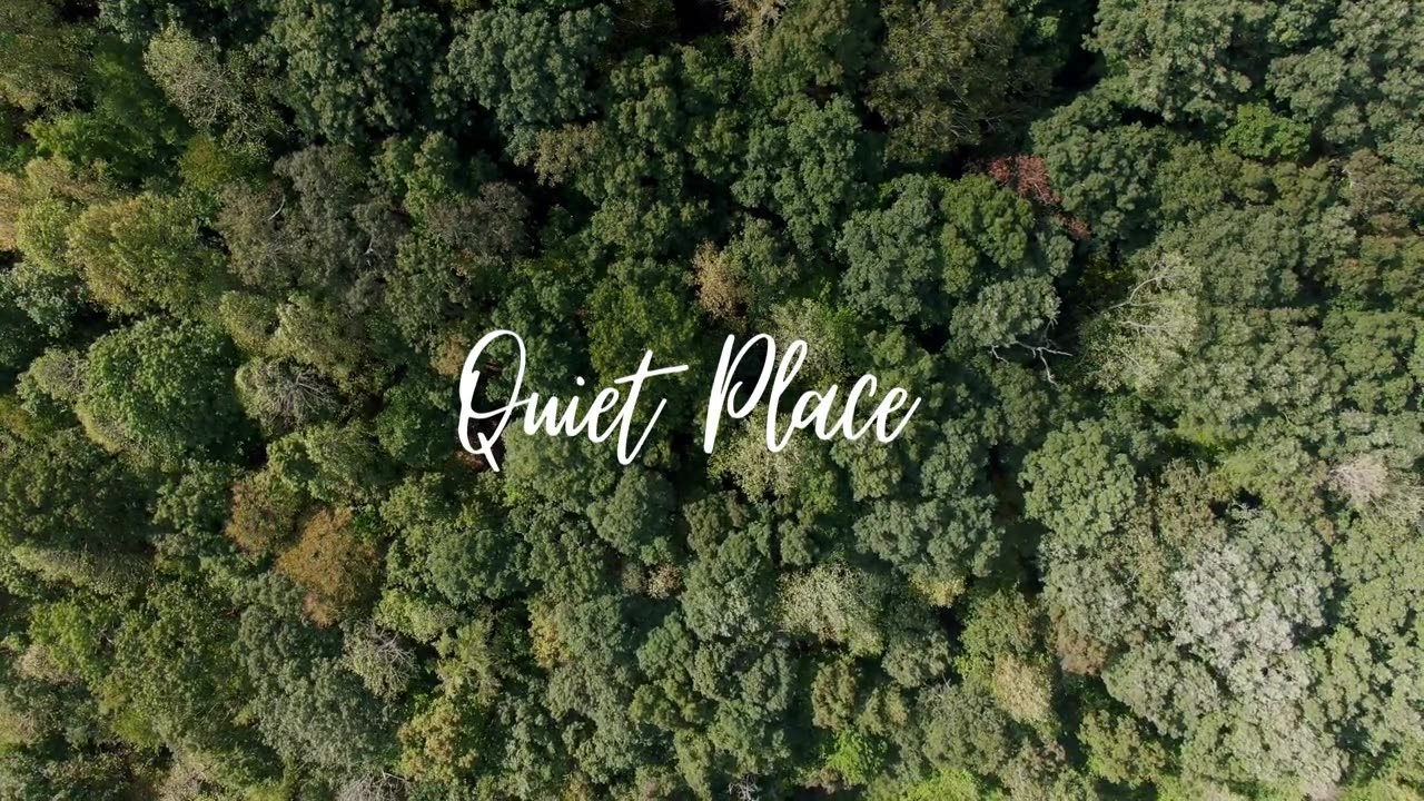 Nature's Lullaby ||1 Hour of Serene Sleep Sounds