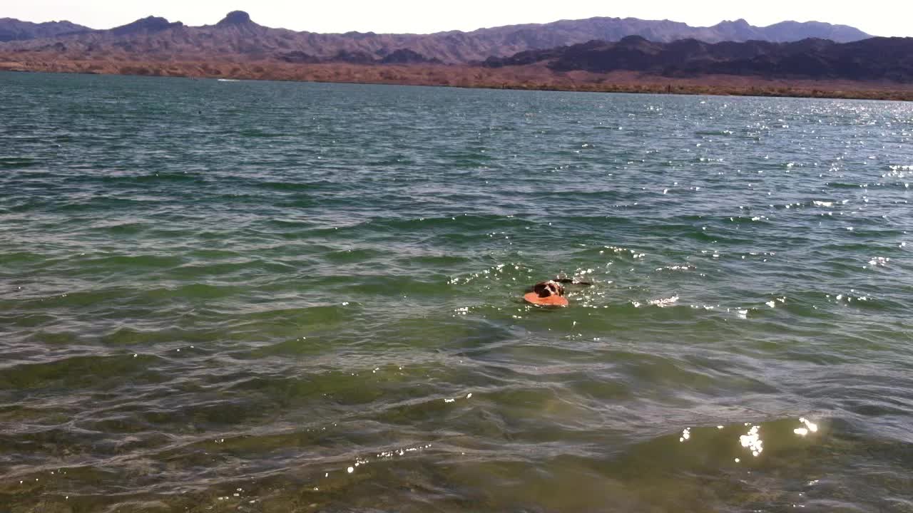 BodyBeach Havasu