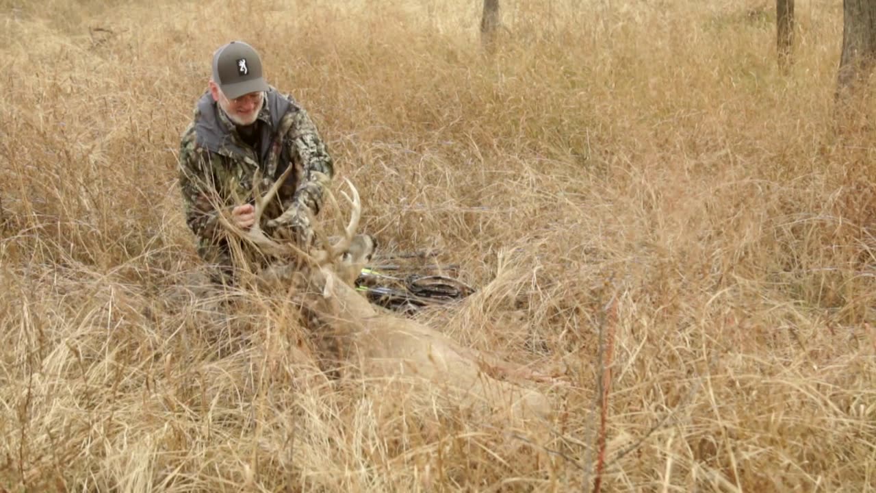 Sunflower State 10 Pointer