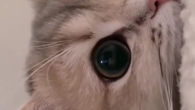 Good Night Sad Status