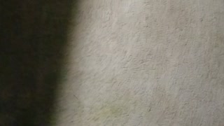 Not my bottle