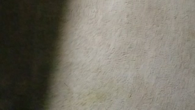 Not my bottle