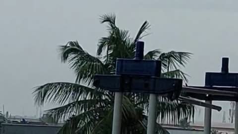 Relaxing early morning rain sound.